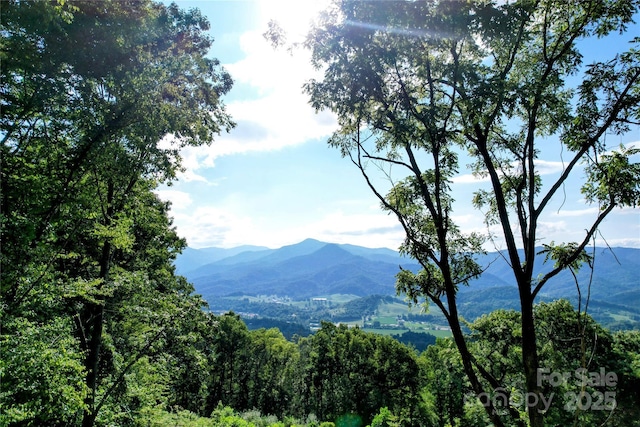394 Aubrey Trl, Waynesville, NC 28785