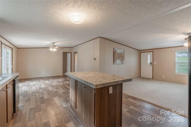 kitchen with a ceiling fan, open floor plan, light wood-type flooring, a textured ceiling, and stainless steel dishwasher