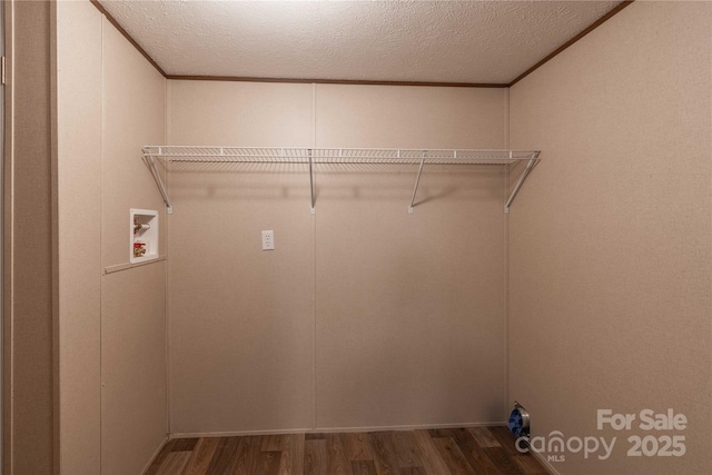 washroom featuring washer hookup, wood finished floors, and a textured ceiling
