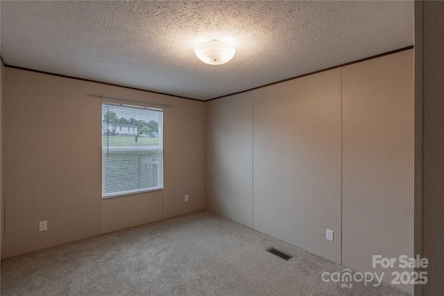 carpeted empty room featuring crown molding and a textured ceiling