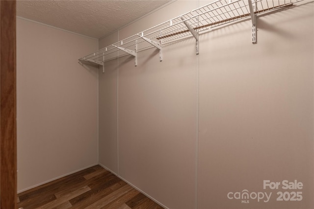 walk in closet with dark wood-style floors