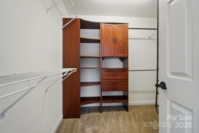 138 Montibello Dr, Mooresville, NC 28117 - spacious closet with carpet floors