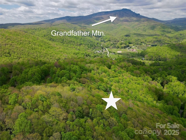 TBD Jackson Ridge Road, Boone, NC 28607 - photo 1
