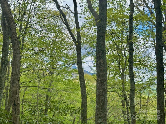 TBD Jackson Ridge Road, Boone, NC 28607 - photo 3