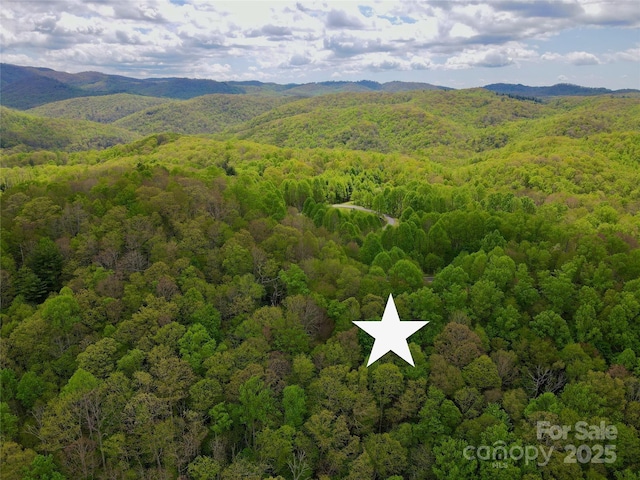 TBD Jackson Ridge Road, Boone, NC 28607 - photo 4
