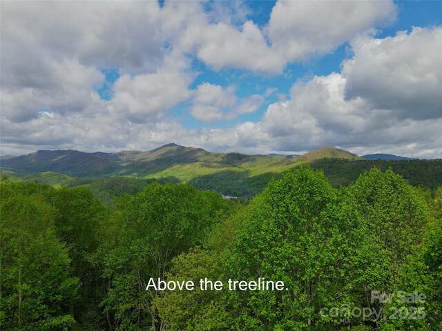 TBD Jackson Ridge Road, Boone, NC 28607 - photo 8