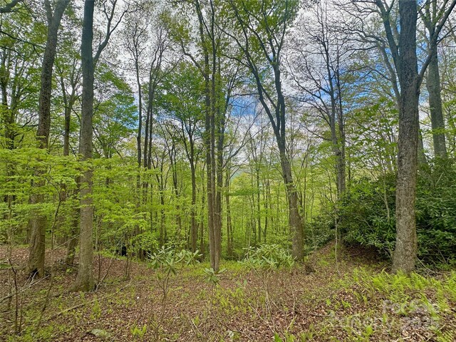 TBD Jackson Ridge Road, Boone, NC 28607 - photo 10