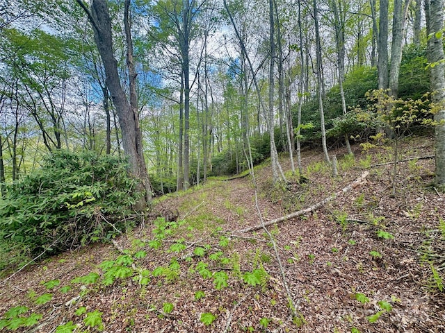 TBD Jackson Ridge Road, Boone, NC 28607 - photo 12