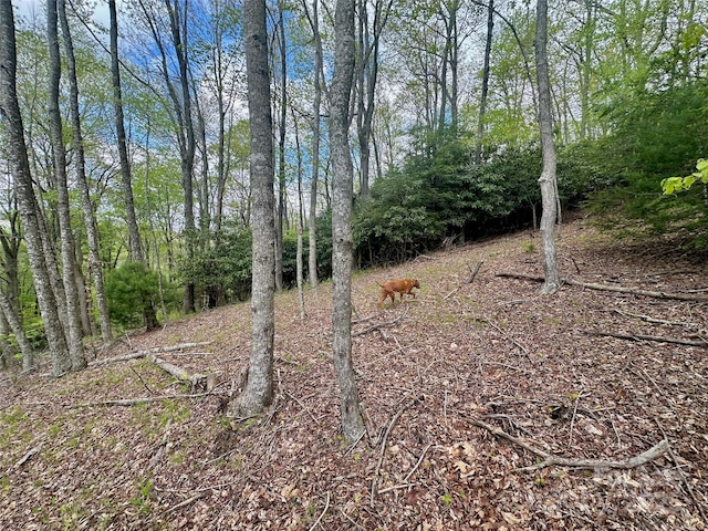 TBD Jackson Ridge Road, Boone, NC 28607 - photo 13