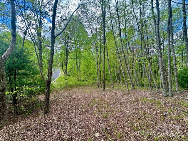 TBD Jackson Ridge Road, Boone, NC 28607 - photo 14