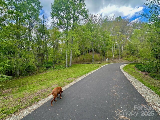 TBD Jackson Ridge Road, Boone, NC 28607 - photo 17