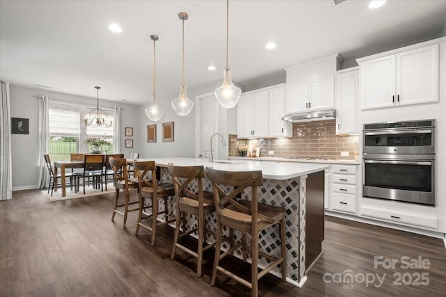 9530 Hightower Oak St, Huntersville, NC 28078 - kitchen with double oven, under cabinet range hood, a sink, light countertops, and decorative backsplash