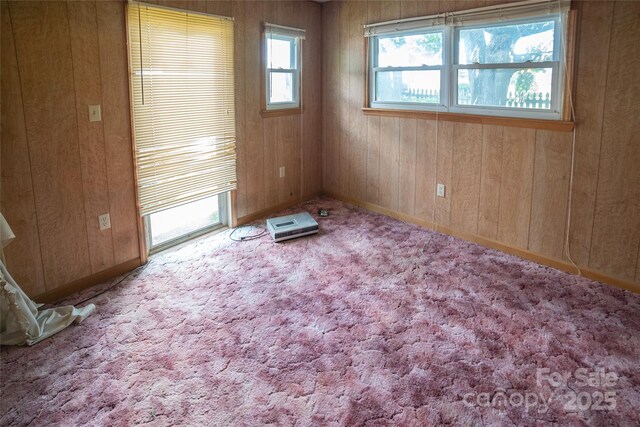 1463 Land St, Lenoir, NC 28645 - unfurnished room with wooden walls, baseboards, and carpet