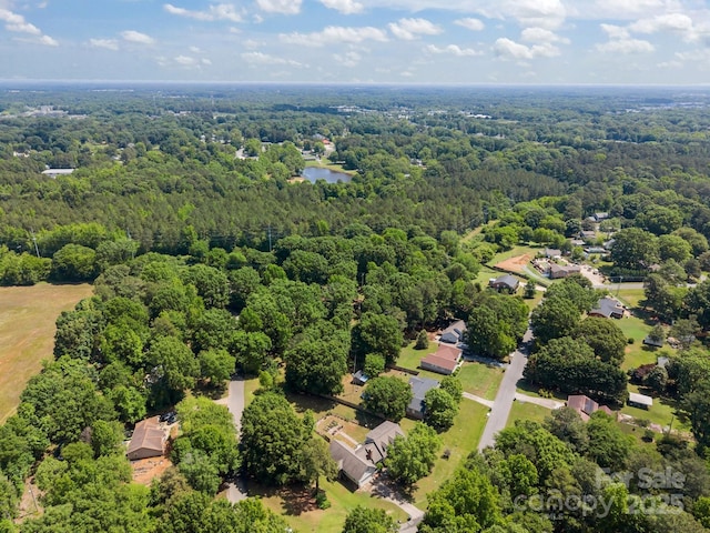 bird's eye view of a forest