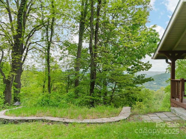 572 Multiflora Way, Waynesville, NC 28785 - view of yard featuring a mountain view