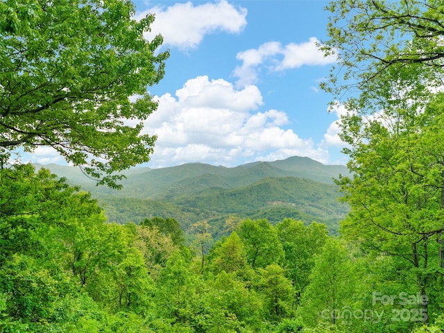 572 Multiflora Way, Waynesville, NC 28785 - mountain view with a heavily wooded area
