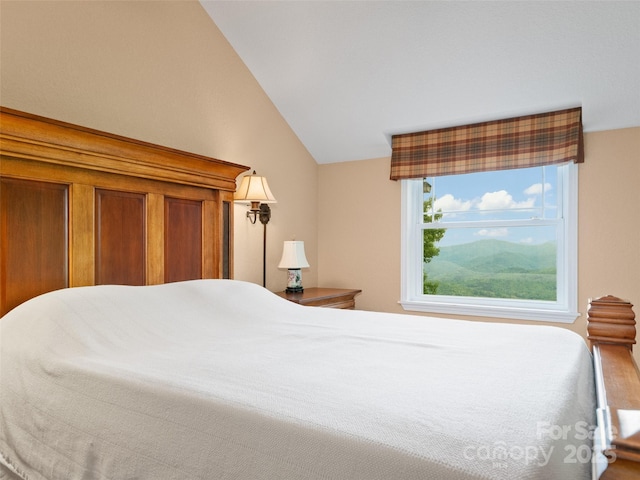 572 Multiflora Way, Waynesville, NC 28785 - bedroom with lofted ceiling