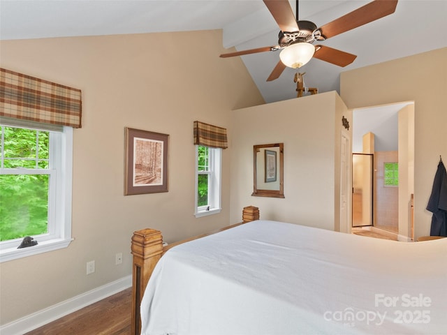 572 Multiflora Way, Waynesville, NC 28785 - bedroom featuring multiple windows, wood finished floors, baseboards, high vaulted ceiling, and ceiling fan