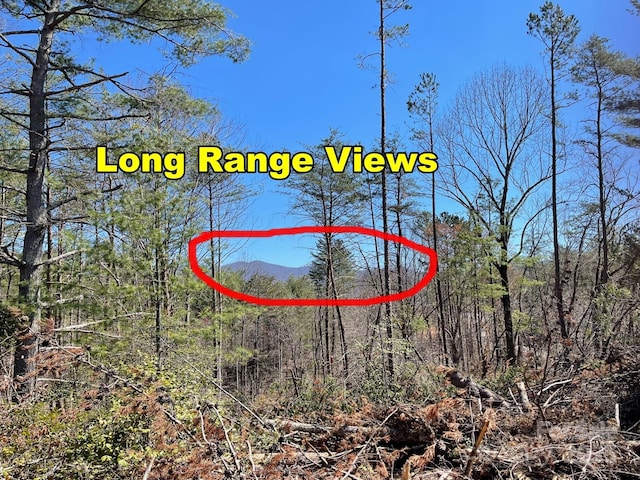 83 Union Chapel Rd, Weaverville, NC 28787