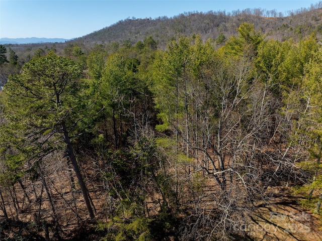83 Union Chapel Rd, Weaverville, NC 28787