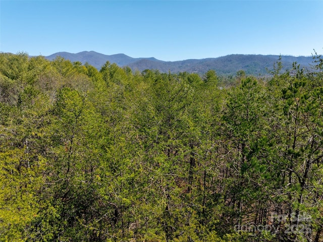 83 Union Chapel Rd, Weaverville, NC 28787