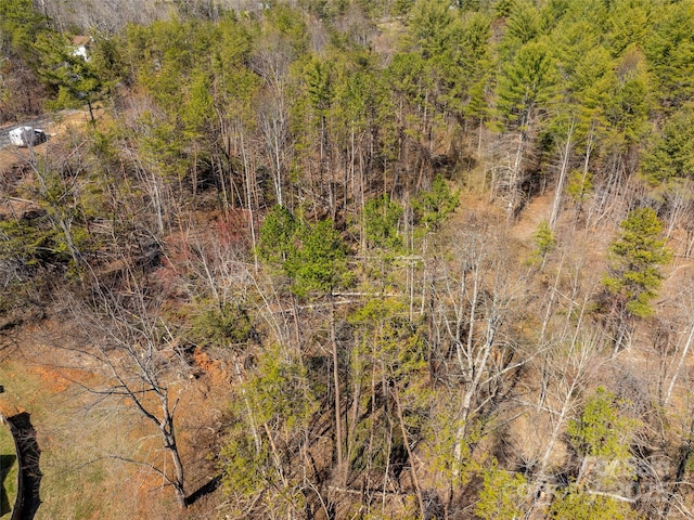 83 Union Chapel Rd, Weaverville, NC 28787