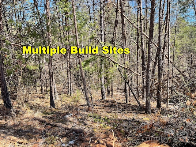 83 Union Chapel Rd, Weaverville, NC 28787