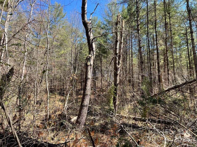 83 Union Chapel Rd, Weaverville, NC 28787