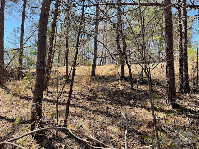 83 Union Chapel Rd, Weaverville, NC 28787