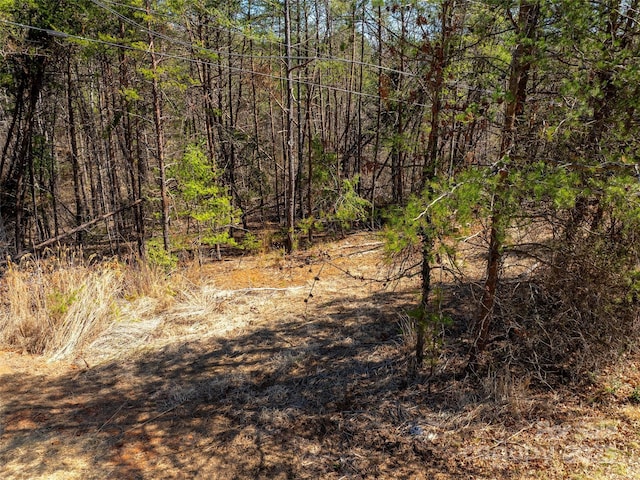 83 Union Chapel Rd, Weaverville, NC 28787