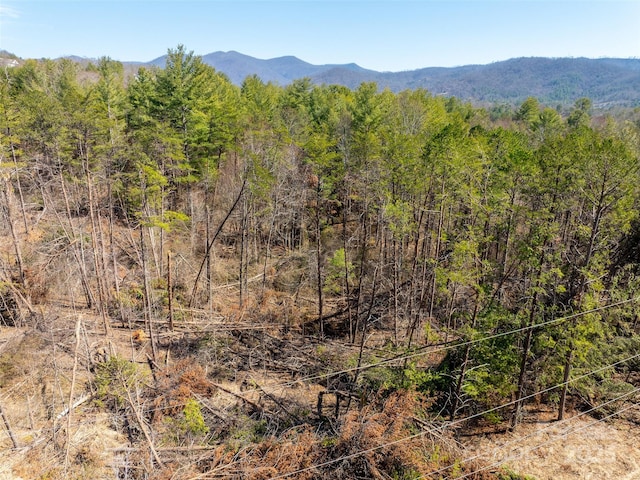 83 Union Chapel Rd, Weaverville, NC 28787