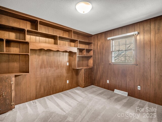 646 Terry Rd, Ellenboro, NC 28040 - carpeted spare room featuring wooden walls and a textured ceiling