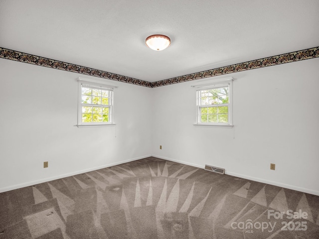 646 Terry Rd, Ellenboro, NC 28040 - carpeted empty room with plenty of natural light and baseboards