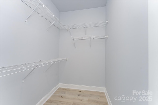 309 Walker St, Kannapolis, NC 28081 - walk in closet featuring light wood-style floors