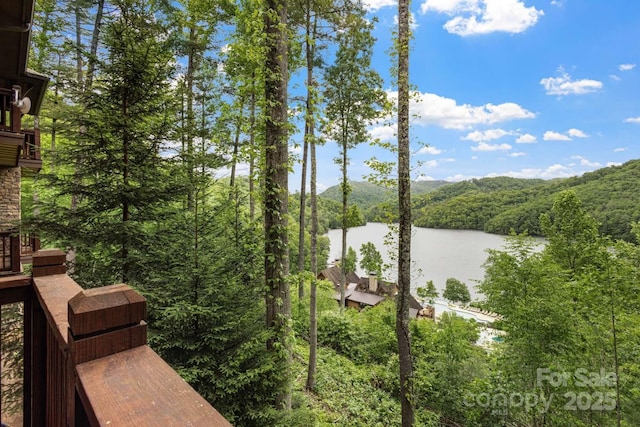 85 Southshore Dr Unit A2, Tuckasegee, NC 28783 - dock with a water and mountain view and a view of trees