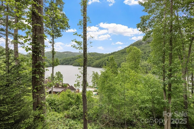 85 Southshore Dr Unit A2, Tuckasegee, NC 28783 - water view with a heavily wooded area and a mountain backdrop