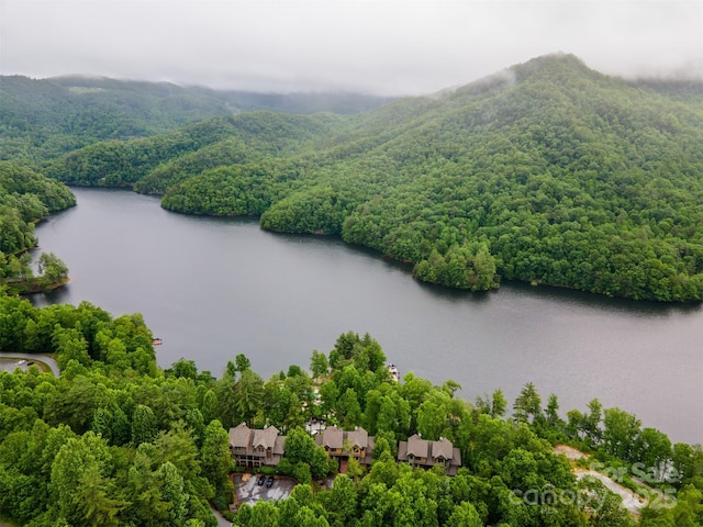 85 Southshore Dr Unit A2, Tuckasegee, NC 28783 - drone / aerial view of a heavily wooded area and a nearby body of water
