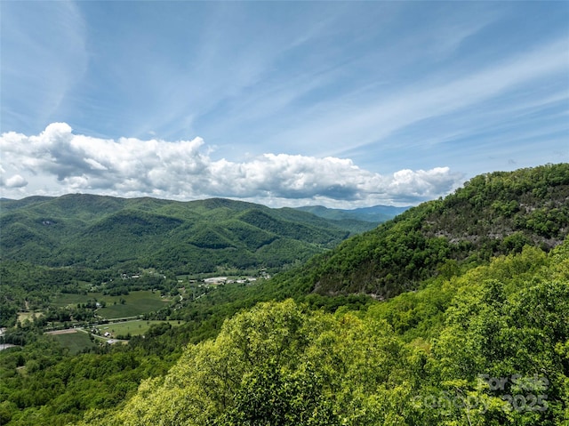 444 Woodring Cemetery Rd, Tuckasegee, NC 28783