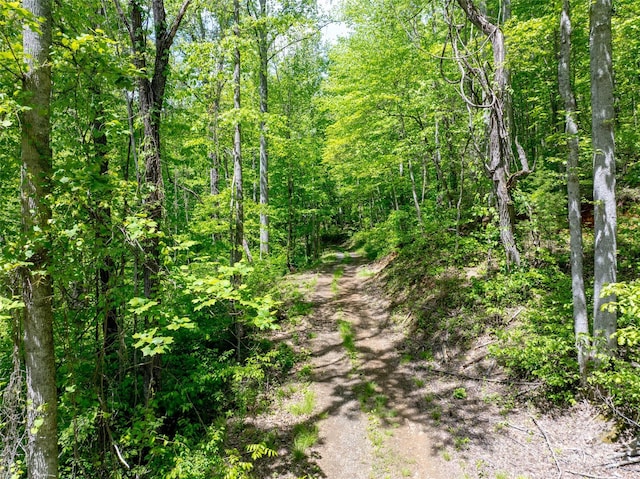 444 Woodring Cemetery Rd, Tuckasegee, NC 28783