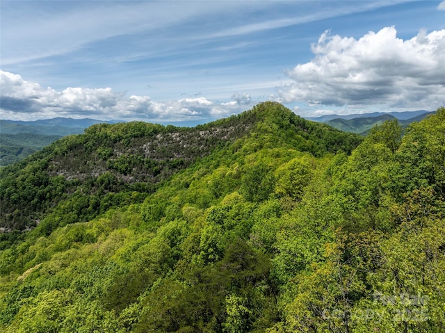444 Woodring Cemetery Rd, Tuckasegee, NC 28783
