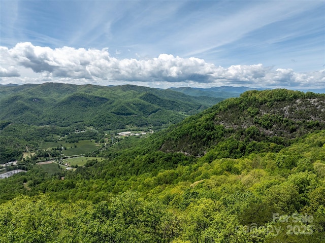 444 Woodring Cemetery Rd, Tuckasegee, NC 28783