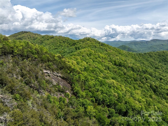 444 Woodring Cemetery Rd, Tuckasegee, NC 28783