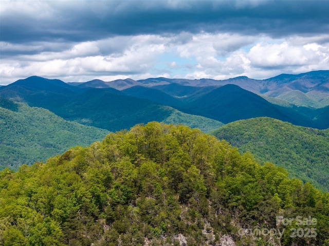 444 Woodring Cemetery Rd, Tuckasegee, NC 28783