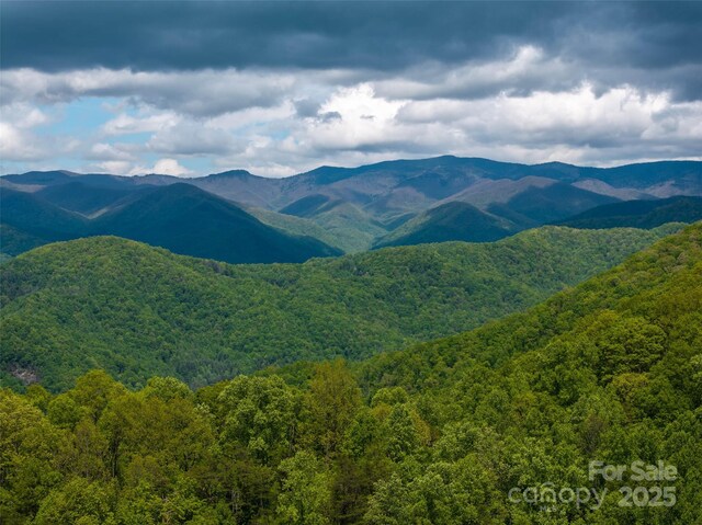 444 Woodring Cemetery Rd, Tuckasegee, NC 28783