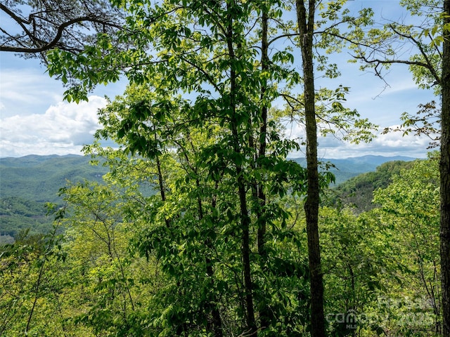 444 Woodring Cemetery Rd, Tuckasegee, NC 28783
