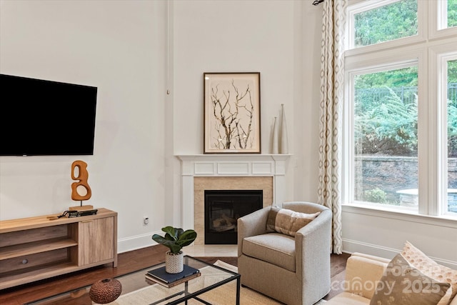 7913 Waverly Walk Ave, Charlotte, NC 28277 - living area featuring baseboards, wood finished floors, healthy amount of natural light, and a fireplace with flush hearth