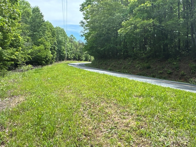 00 Vein Mountain Rd, Nebo, NC 28761