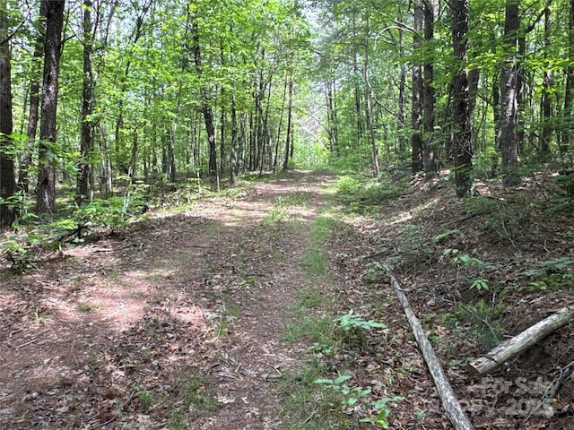 00 Vein Mountain Rd, Nebo, NC 28761