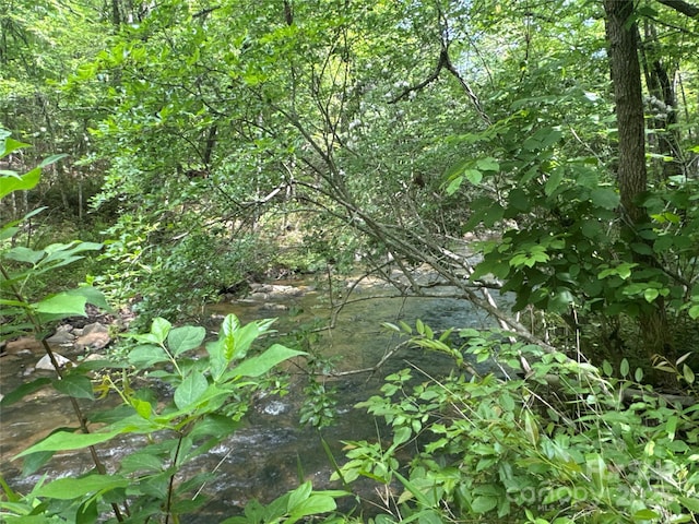 00 Vein Mountain Rd, Nebo, NC 28761