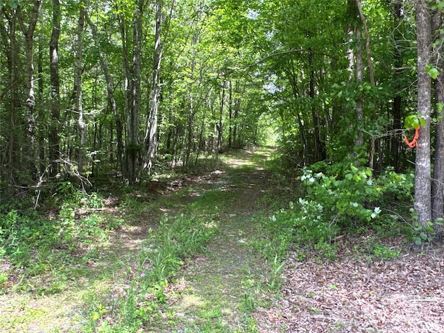 00 Vein Mountain Rd, Nebo, NC 28761